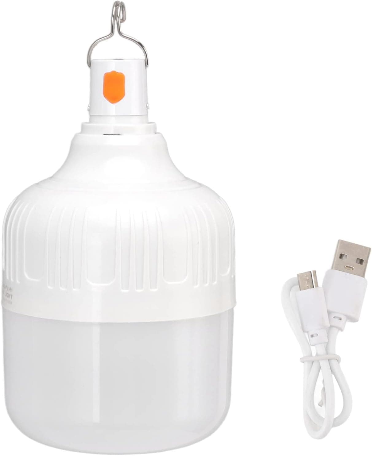 Ampoule LED Rechargeable Biva 60W