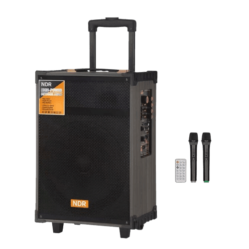 Haut Parleur NDR B-V12